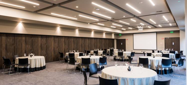 拉斯洛马斯莫维奇酒店(Movich Hotel Las Lomas)图片