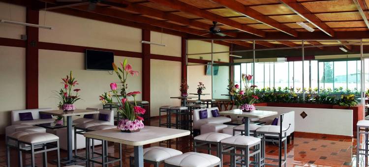 圣佩德瑞欧露台酒店(Hotel Terraza San Pedrito)图片