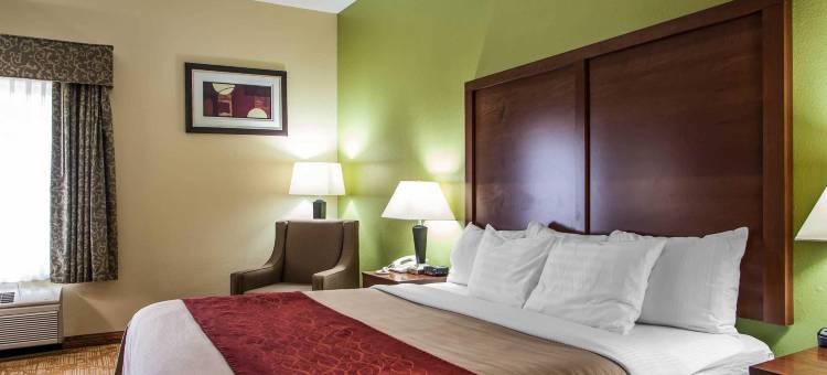 凯艺酒店(Quality Inn Jacksonville Near I-72)图片