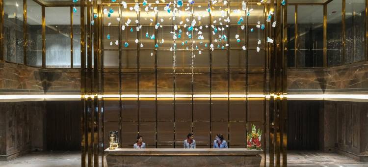 印多尔公园酒店(The Park Indore)图片