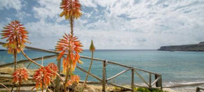 珊瑚客房酒店(Coral Front Beach)图片