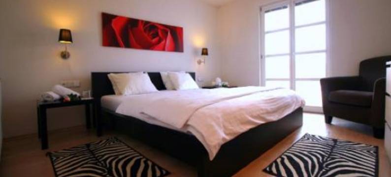 大卫膳食公寓酒店(Penzion David)图片