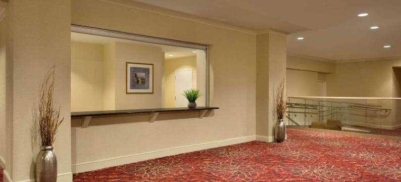 匹兹堡市区温德姆至尊酒店(Wyndham Grand Pittsburgh Downtown)图片