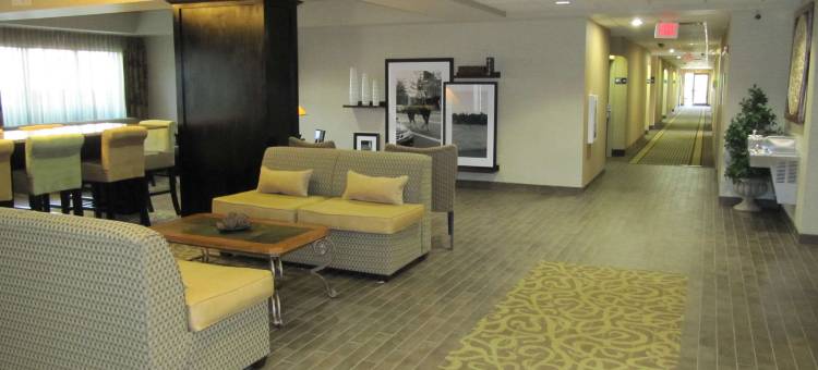 希尔顿欢朋酒店-泰勒林代尔(Hampton Inn Lindale/Tyler Area)图片