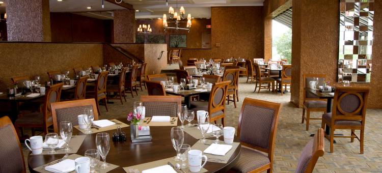 圣路易斯西港逸林酒店(DoubleTree by Hilton Hotel St. Louis - Westport)图片
