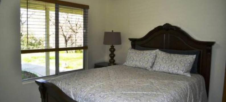 Blue Jay Paradise图片