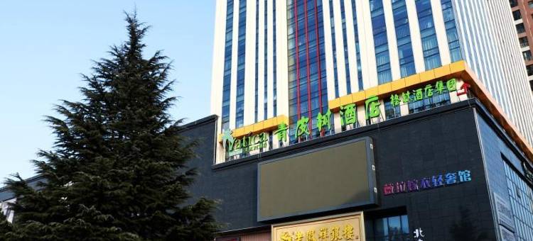 青皮树酒店(高平财富大厦店)图片