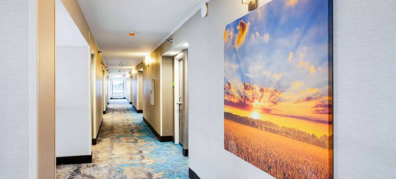 琼斯伯勒拉昆塔温德姆套房酒店(La Quinta Inn & Suites by Wyndham Jonesboro)图片