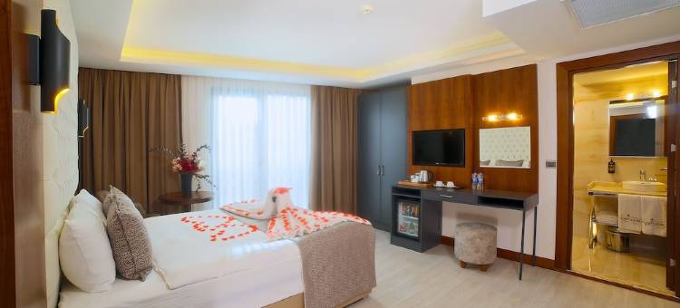 我的梦想伊斯坦布尔酒店(My Dream Istanbul Hotel.)图片