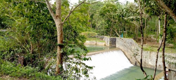 希图芒豪生态小屋旅馆(HAU Eco Lodges Citumang Pangandaran)图片