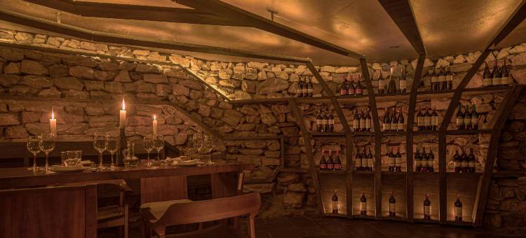 卡维亚喜马拉雅酒店(Kavya Himalayas)图片