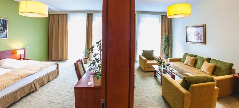 维斯艾维斯兰卡特酒店(Hotel Vis a Vis Łańcut)图片