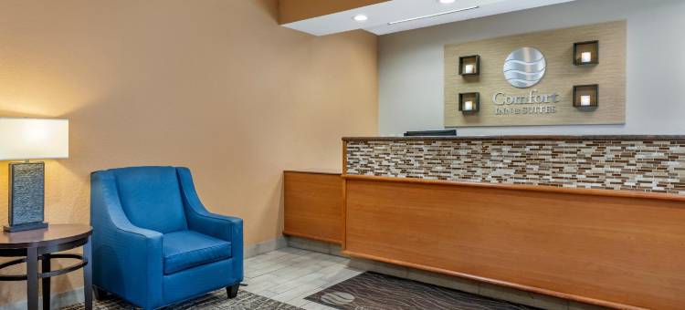 奥兰多北舒适套房酒店(Comfort Inn & Suites Orlando North)图片