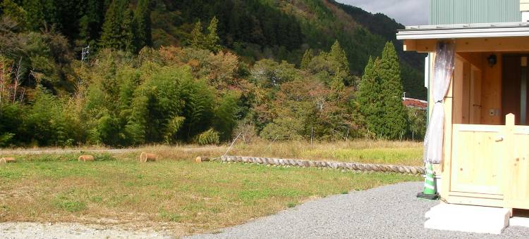 国头小屋立满桥的岸边(Gujo Cottage Ryukobashi No Hotori)图片