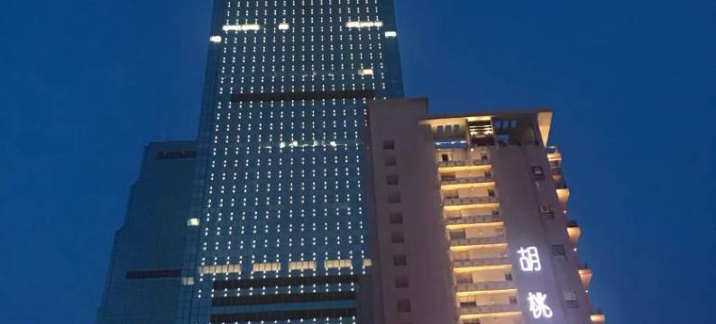 泊漫美宿(IFS国金中心五一广场地铁站店)图片