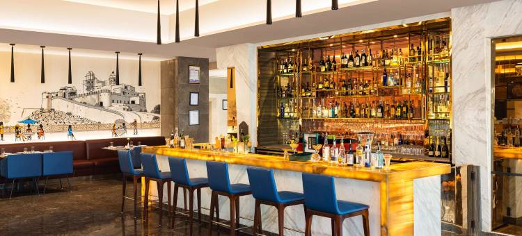 齐普尔市中心丽筠酒店(Radisson Jaipur City Center)图片