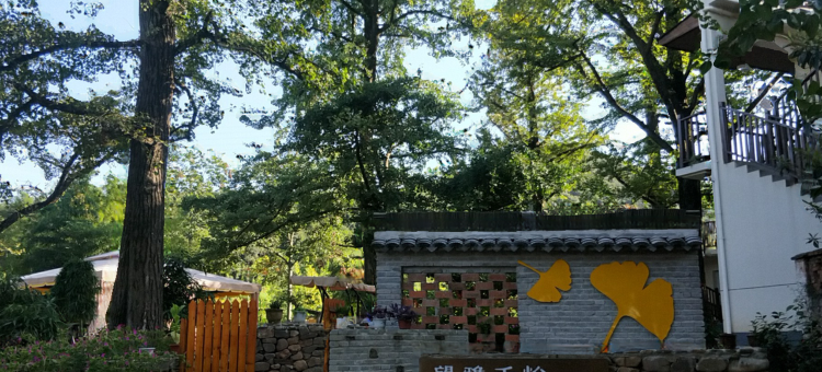 长兴望雅千怡民宿(八都岕景区游客中心店)图片