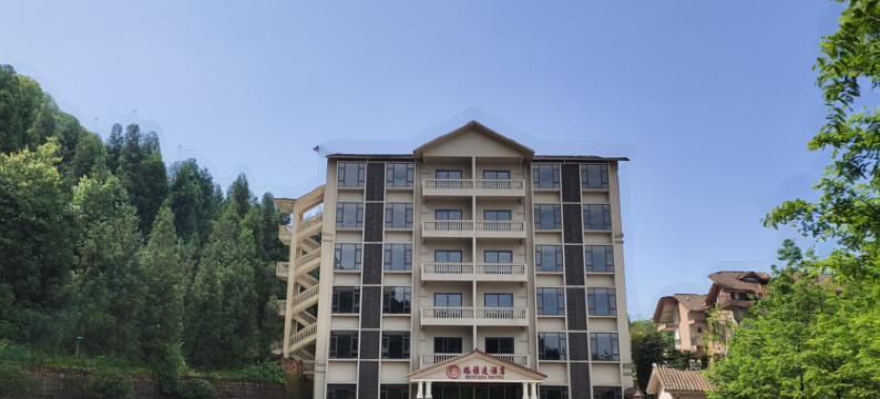 瑞雅达酒店(重庆江津四面山店)图片