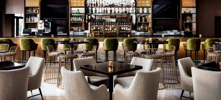 芝加哥密歇根大街格温豪华精选酒店(The Gwen, a Luxury Collection Hotel, Michigan Avenue Chicago)图片