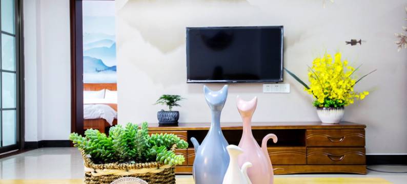 满天星民宿(东安路分店)图片