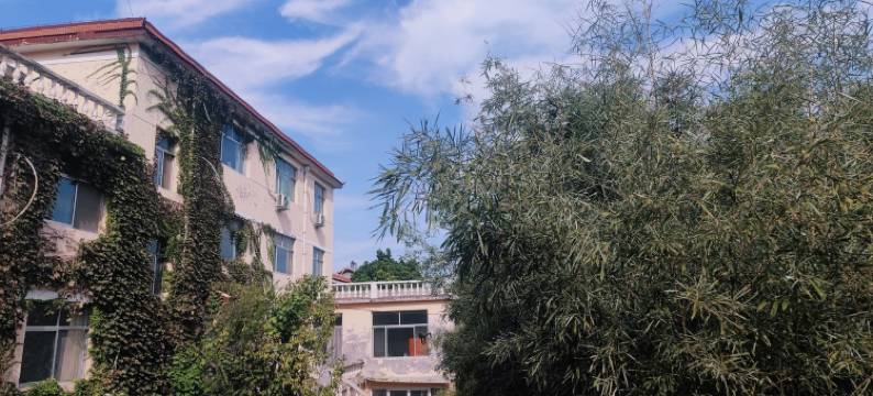 泰安九皋山房客栈图片