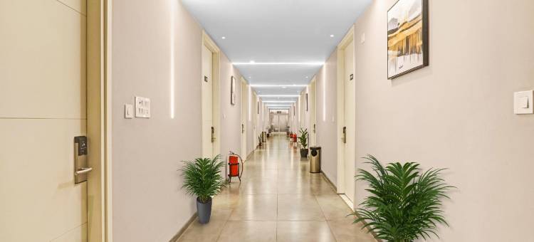 Super Hotel O the Fern Suites图片