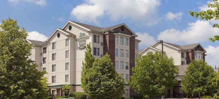 代顿南Homewood Suites by Hilton(Homewood Suites by Hilton Dayton - South/Dayton Mall)图片