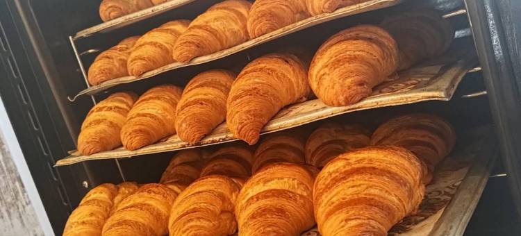 佛罗伦萨中心新一代青年旅舍(New Generation Hostel Florence)图片