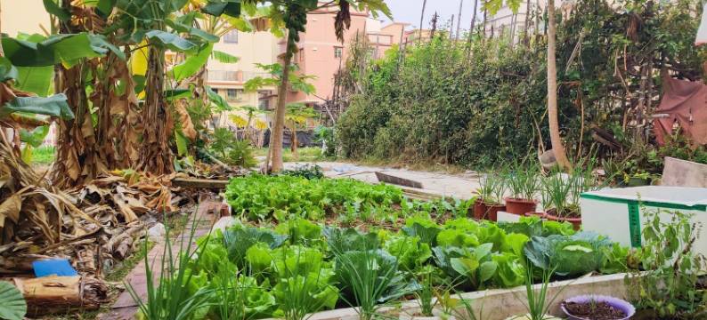 souffle民宿(安吉路分店)图片