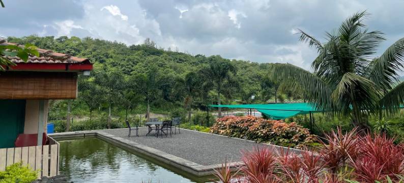 河石农场(The Riverstone Agro Farm)图片