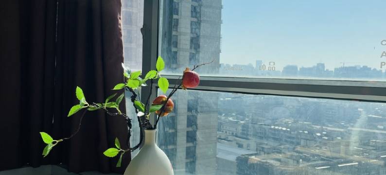 波波悦客之家公寓(解放西路分店)图片