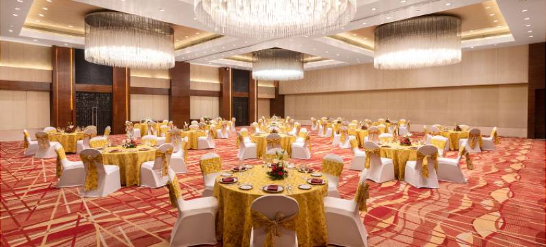 浦那Hyatt酒店(Hyatt Pune)图片