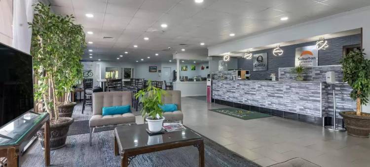 Suburban Studios图片