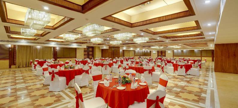 艾哈迈达巴德傲世广场酒店(Pride Plaza Hotel, Ahmedabad)图片