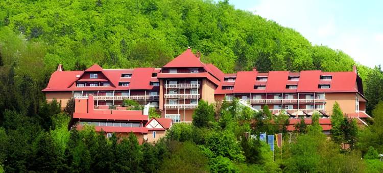 格贝尔罗登堡酒店(Göbels Hotel Rodenberg)图片