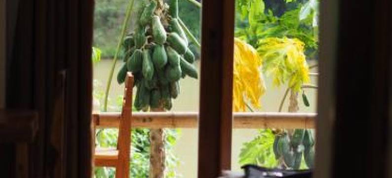 Meexok River View图片