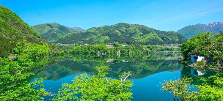 森林度假区 猿京誓湖庄(Forest Resort Sarugakyo Seikoso)图片
