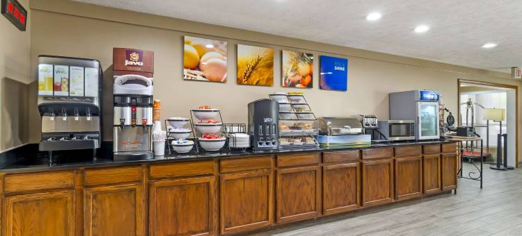 威斯维尔舒适酒店(Comfort Inn Wytheville - Fort Chiswell)图片