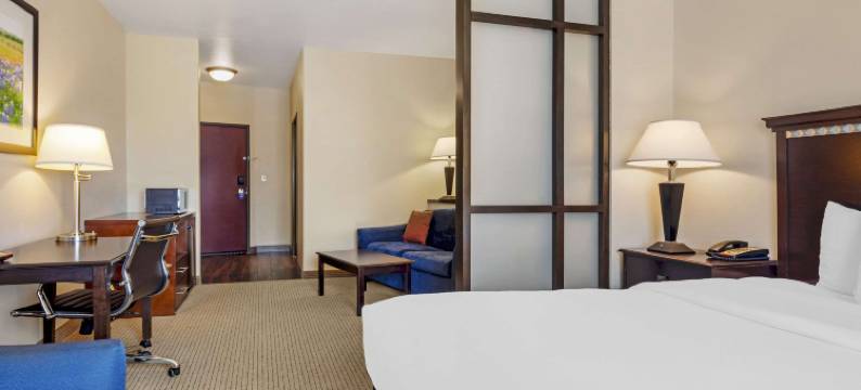 康福特套房帕勒斯廷(Comfort Suites)图片