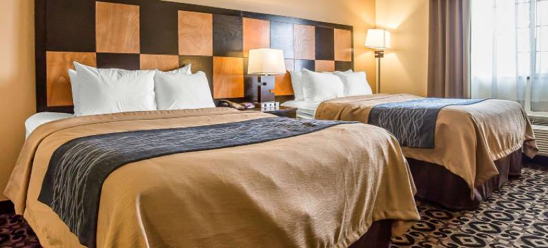 舒适酒店-巴拉德罗斯福(Comfort Inn Ballard-Roosevelt)图片