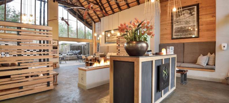 巴库蓬布什旅馆(Bakubung Bush Lodge)图片