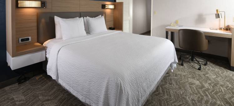 西德梅茵万豪SpringHill酒店(SpringHill Suites des Moines West)图片