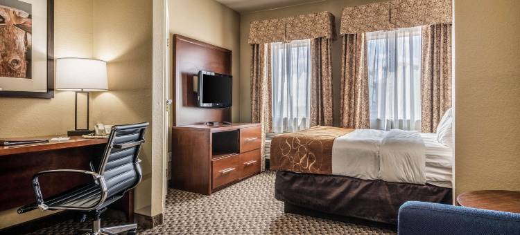 舒适套房酒店-近德州大学(Comfort Suites Near Texas State University)图片