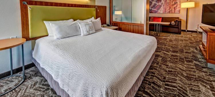 俄克拉荷马市穆尔万豪SpringHill Suites 酒店(SpringHill Suites Oklahoma City Moore)图片