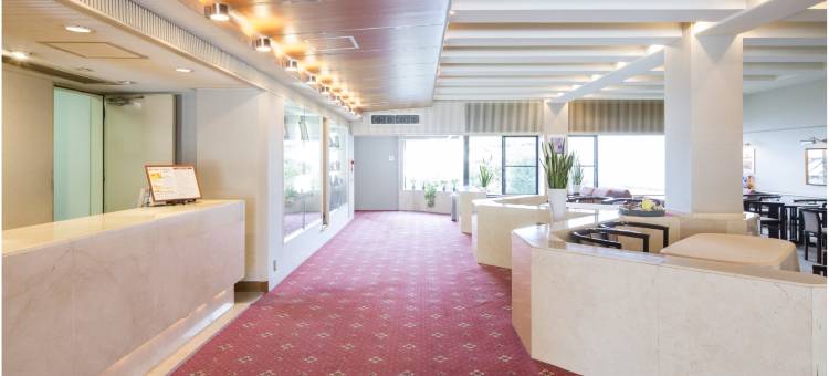 酒店虎屋(须贺川)(Hotel Toraya (Sukagawa))图片