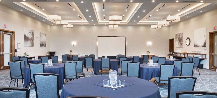 桑德曼签名普莱诺弗里斯科酒店(Sandman Signature Plano-Frisco Hotel)图片