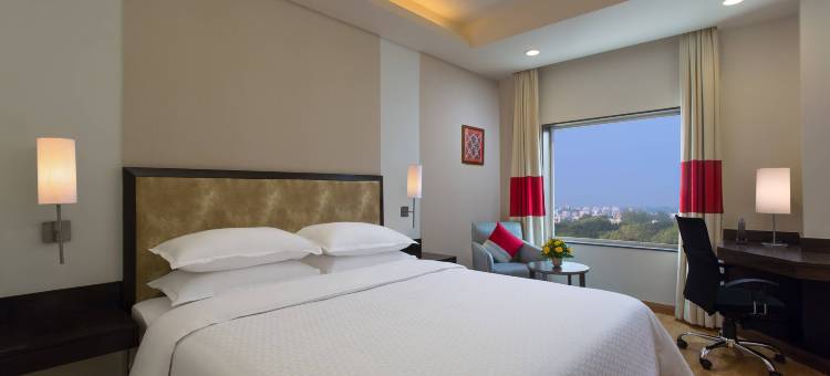 瓦多达拉福朋喜来登酒店(Four Points by Sheraton Vadodara)图片