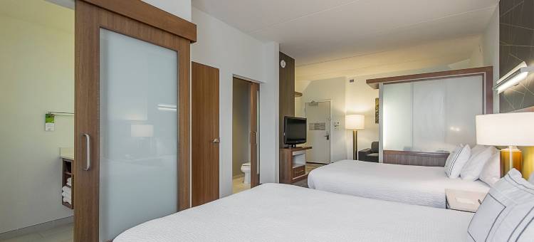 坦帕北/坦帕棕榈万豪SpringHill酒店(SpringHill Suites Tampa North/I-75 Tampa Palms)图片