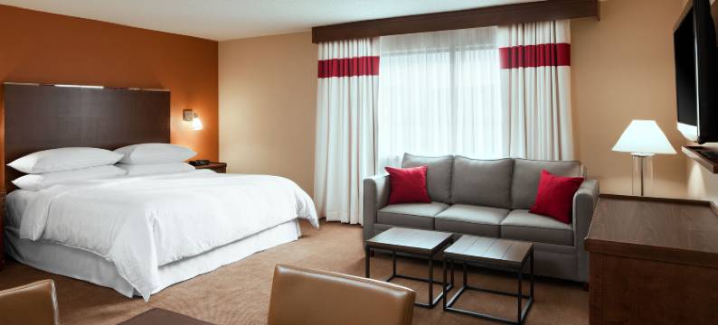 埃德蒙斯顿福朋喜来登酒店及会议中心(Four Points by Sheraton Edmundston Hotel & Conference Center)图片