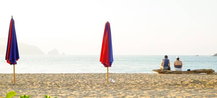 特帕尔卡特斯酒店(Hotel Tepalcates)图片